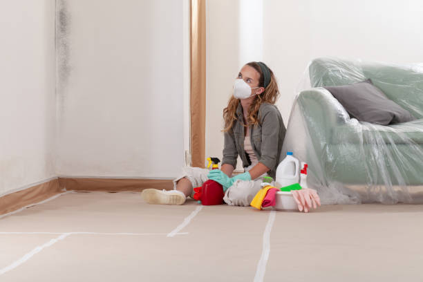 Reliable Crawl Space Mold Remediation contractor in Howell, MI by Mold Remediation HQ